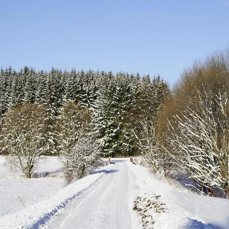 Apartment Braunlage Braunlage