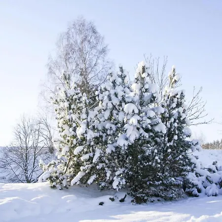 Apartment Braunlage Apartment *