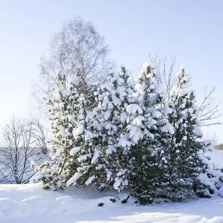 Apartment Braunlage *