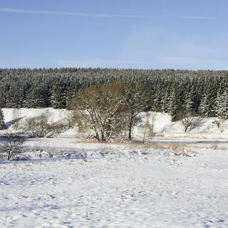 Apartment Braunlage Apartment *