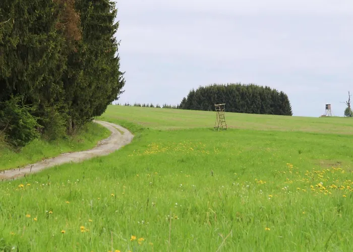 Apartment, Braunlage