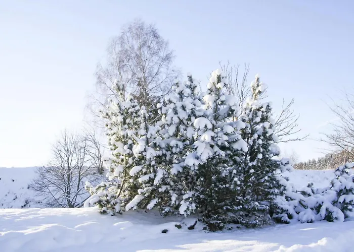 Apartment, Daire Braunlage