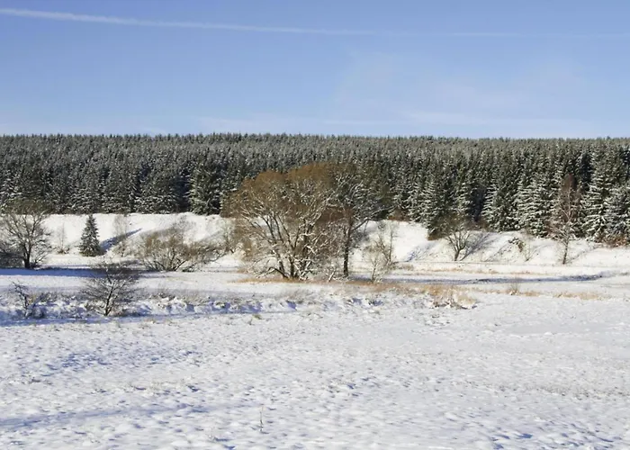 Apartment, * Braunlage